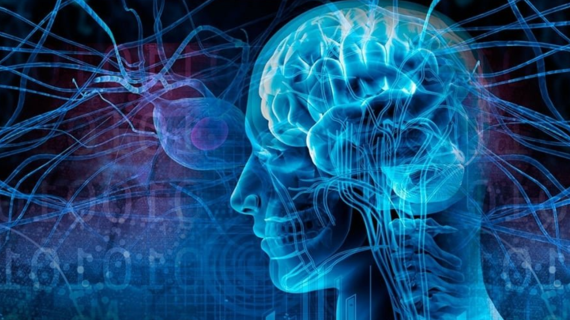 Демиелинизирующие заболевания нервной системы у взрослых и детей