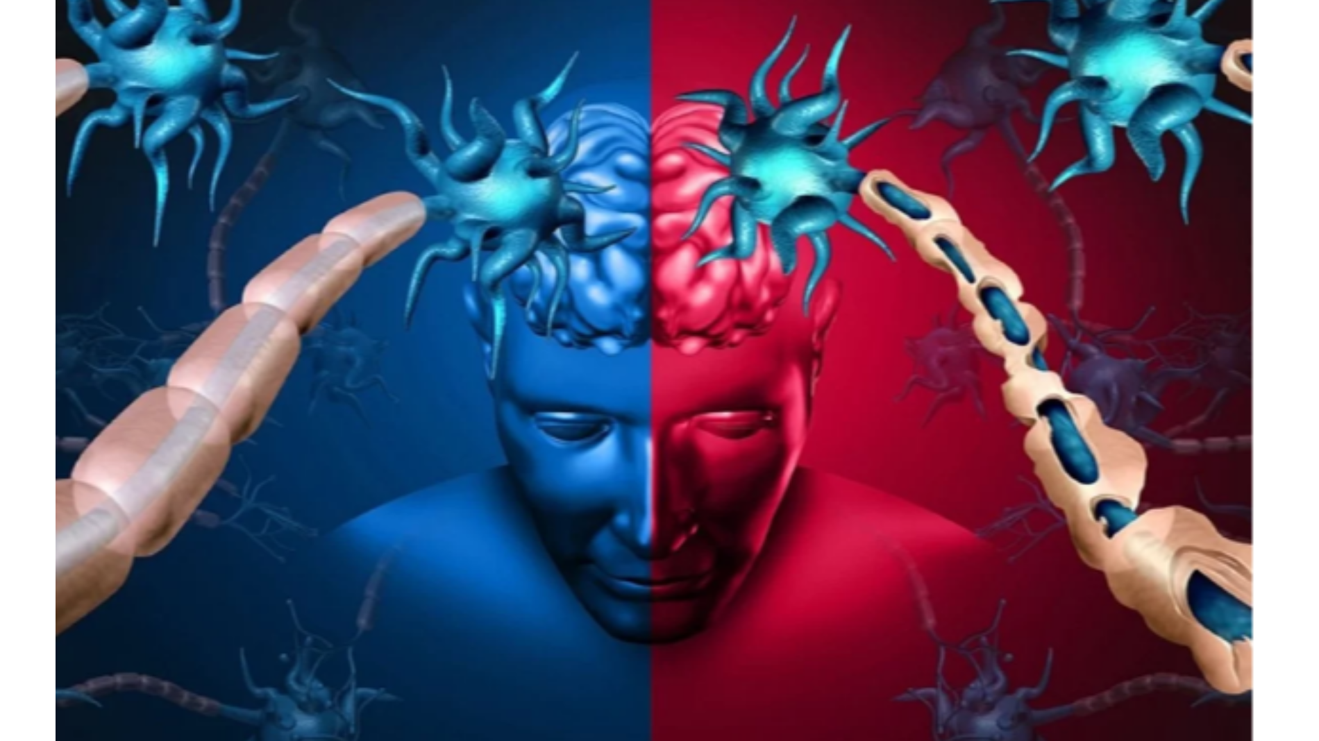 Визит хамелеона